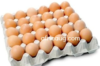 Trayofeggs-one.jpg